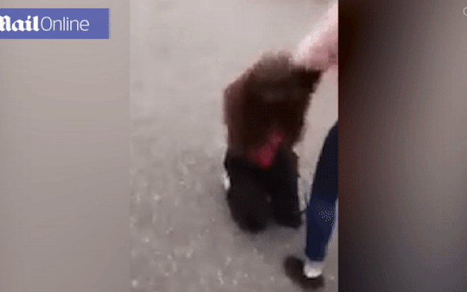 Cô gái bị đánh hội đồng suốt 3 tiếng tới nỗi mất khả năng sinh sản Ảnh 2