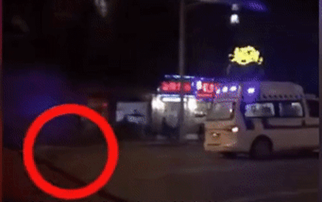 Thấy xe cứu thương chở chủ đi, chú chó chạy theo sau tới tận bệnh viện Ảnh 2