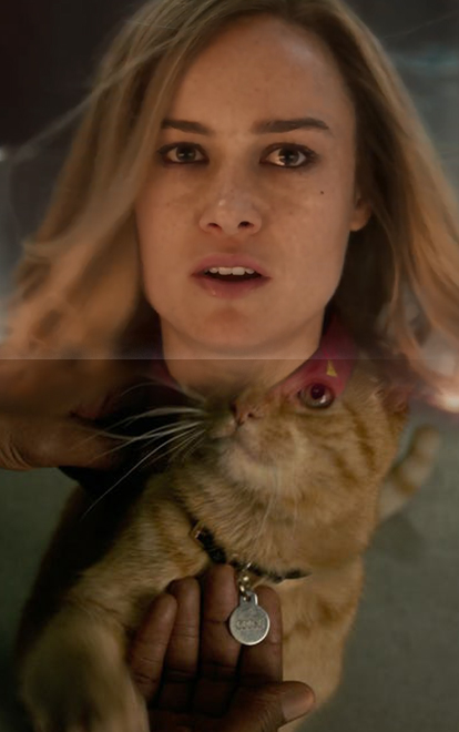 Cư dân mạng phát sốt vì chú mèo trong trailer u0027Captain Marvelu0027