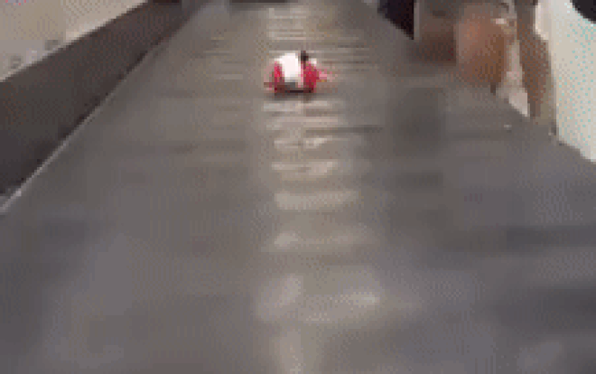 Cười không nhặt nổi mồm với đồ ký gửi quá cute, khiến ai nấy ở sân bay cũng phải ngoái nhìn Ảnh 2