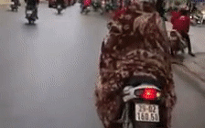 Ngày Hà Nội rét đậm sinh viên nên mặc gì đi học để vừa ấm vừa ngầu - Muốn biết xem ngay clip sau Ảnh 2