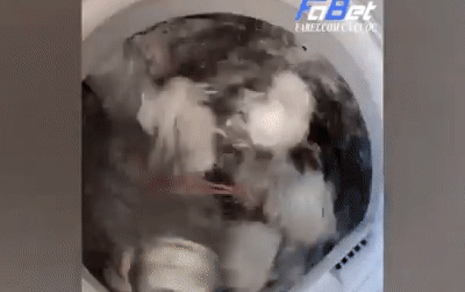 Cho bát đũa vào máy giặt quay rửa cho sạch, chàng trai ngây thơ nhận kết đắng vì dễ tin người Ảnh 2