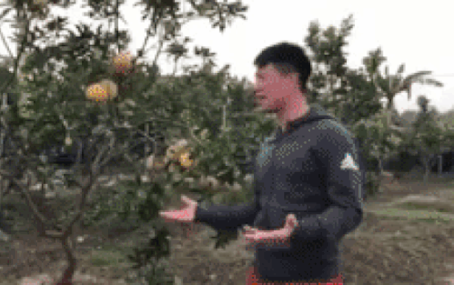 Chết cười clip Trọng Ỉn hùng hồn giới thiệu đã chuyển qua 'nghề mới' Ảnh 2