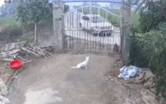 Vỏn vẹn 11 giây, vụ tai nạn khiến dân mạng giật bắn mình như xem phim hành động Mỹ Ảnh 2