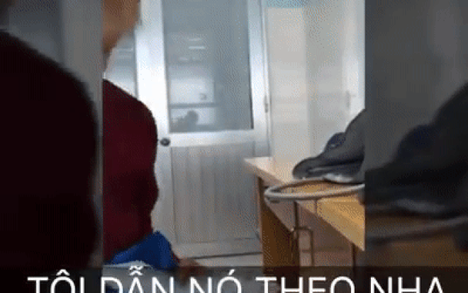 Cháu gái 27 tuổi chưa lấy chồng, bà ngoại đi khám bệnh cao tay mai mối luôn cho bác sĩ điển trai Ảnh 2