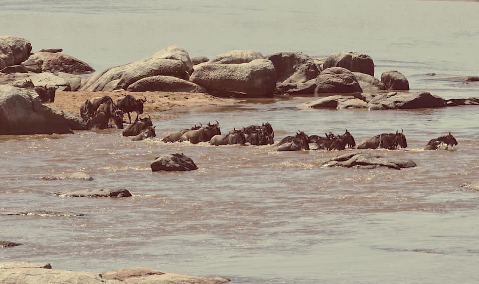 MC Quang Quick và 20 năm Quick & Snow show: Cảm xúc là vấn đề muôn thuở, những gì càng đơn giản càng dễ tồn tại