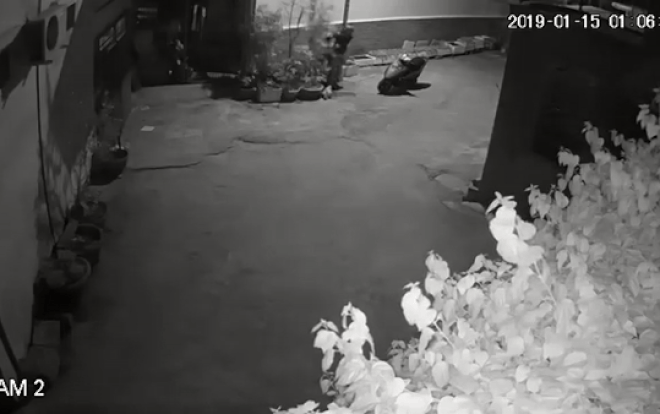 Nam thanh niên nhanh tay bứng cây mai trước cửa nhà dân lúc rạng sáng khiến gia chủ bức xúc Ảnh 2