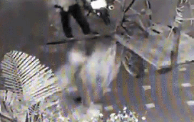 Vừa mua được chậu cảnh, gia chủ đã khóc dở mếu dở bị 2 tên trộm bưng gọn ngay trong đêm Ảnh 2