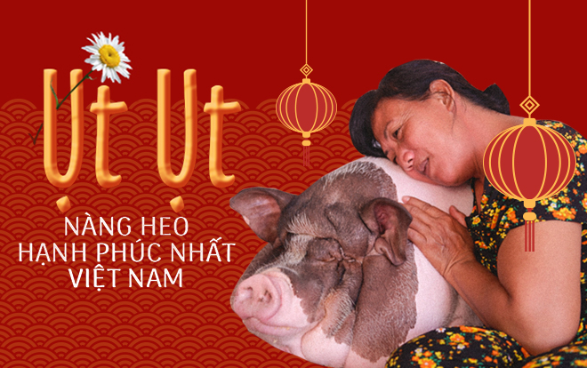 Tết Kỷ Hợi, gặp má con nàng heo hot nhất MXH: ‘Cô giảm cân rồi mà nó vẫn tăng lên 150 ký!’ Ảnh 2