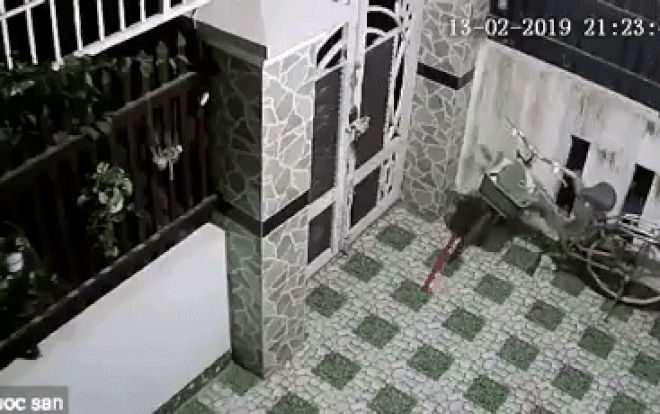 Thò tay qua khe hở trên tường, tên trộm vật vã trộm đồ và thứ hắn lấy khiến ai nấy ngã ngửa Ảnh 2