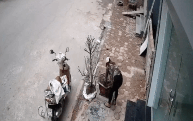 Cặp vợ chồng đi ô tô trộm cây đào trước cửa nhà dân, hôm sau vội vàng mang cây đến trồng lại vị trí cũ Ảnh 2