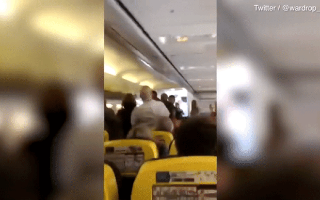 Ẩu đả trên máy bay, hành khách bị cắn đứt mũi Ảnh 2