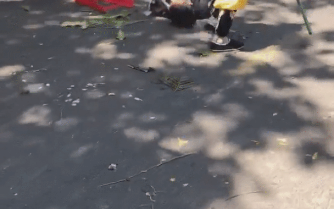 Hé lộ nguyên nhân ô tô biển tứ quý tông vào đoàn người đưa tang khiến ít nhất 3 người tử vong Ảnh 2