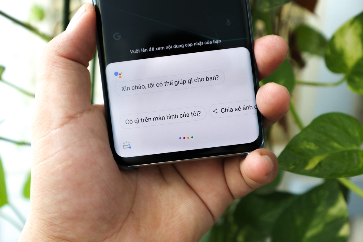 Trợ lý ảo Google Assistant Việt Nam