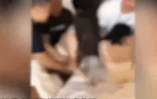 Dàn phù dâu bị sàm sỡ trong đám cưới, hành động của người đàn ông bên cạnh còn đáng kinh tởm hơn Ảnh 2