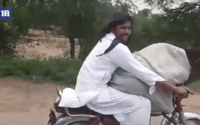 'Chết cười' cảnh chở bò 'cưỡi' xe máy phóng vù vù trên đường Ảnh 2