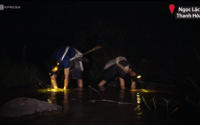 Tay không bắt cá dưới suối lúc nửa đêm ở Thanh Hóa Ảnh 2