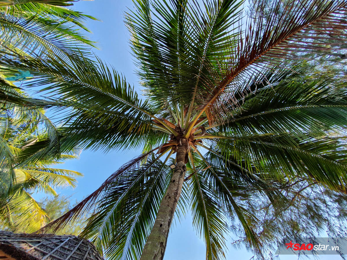 Galaxy S10+ Park Hang-Seo