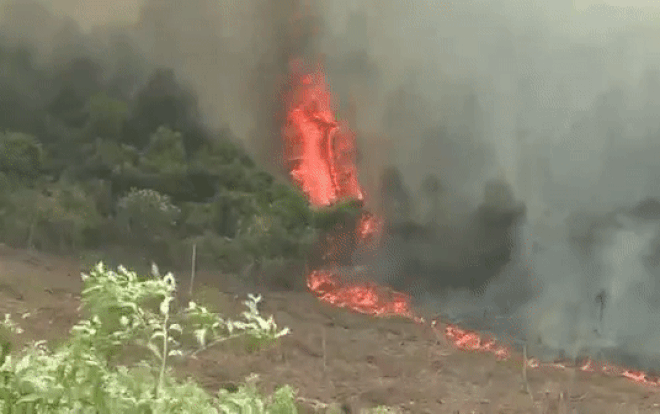 Lại xảy ra cháy rừng diện rộng ở Quảng Bình, hơn 500 người căng mình nỗ lực khống chế lửa Ảnh 2