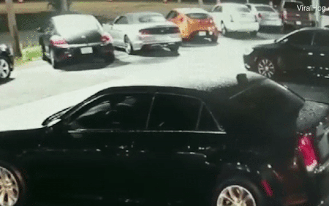 Thanh niên rơi từ trên cao bẹp nóc ô tô vẫn kịp bỏ chạy Ảnh 2