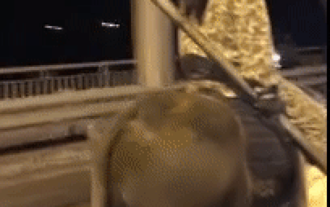 Clip: Người đàn ông đầu đội nón bảo hiểm, tay cầm gậy sắt cưỡi trâu đi trên đường phố thu hút sự chú ý Ảnh 2