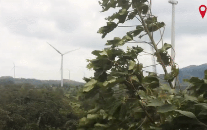 Cánh đồng điện gió hàng nghìn tỷ đồng ở miền tây Quảng Trị Ảnh 2