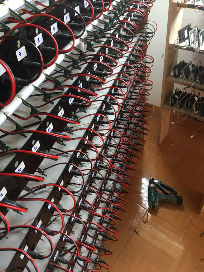 trang trại trồng view