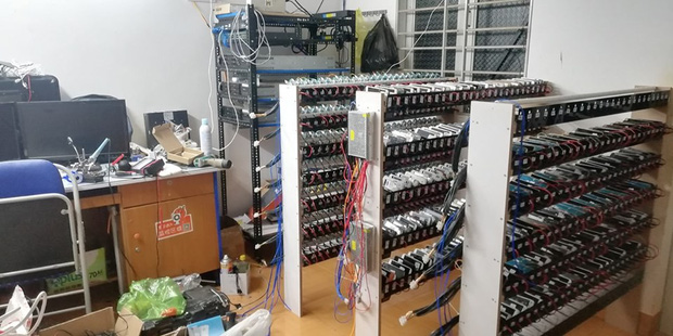 trang trại trồng view