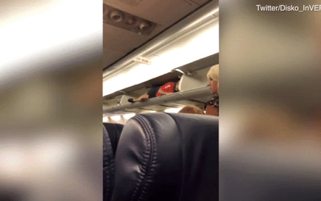 Hài hước tiếp viên chui vào khoang chứa hành lý để đón khách Ảnh 2