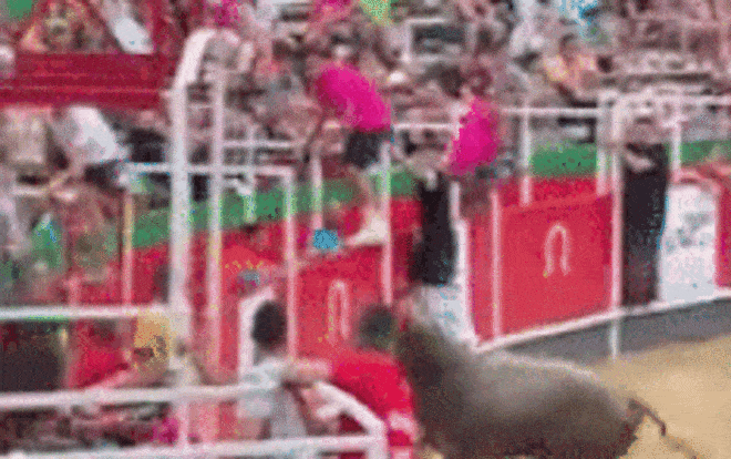 Kinh hãi cảnh bò tót vượt rào, nhảy vào đám đông trên khán đài Ảnh 2