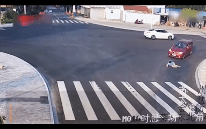 Đang định qua đường thì thấy người bị xe đâm, hành động của chú chó thông minh khiến ai cũng kinh ngạc Ảnh 2