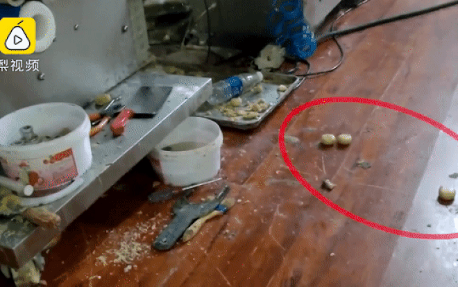 Hãi hùng cảnh tượng siêu bẩn trong xưởng làm bánh trung thu ở Trung Quốc Ảnh 2
