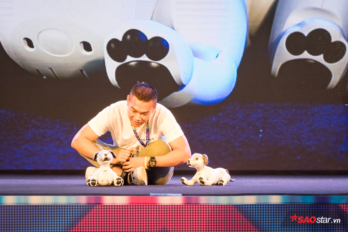 Chó robot Aibo