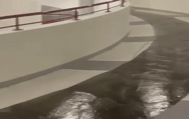 Tò mò mở vòi nước cứu hỏa, sinh viên khiến hành lang Tòa nhà Thế kỷ tại ĐH Kinh tế Quốc dân nước tràn lênh láng Ảnh 2