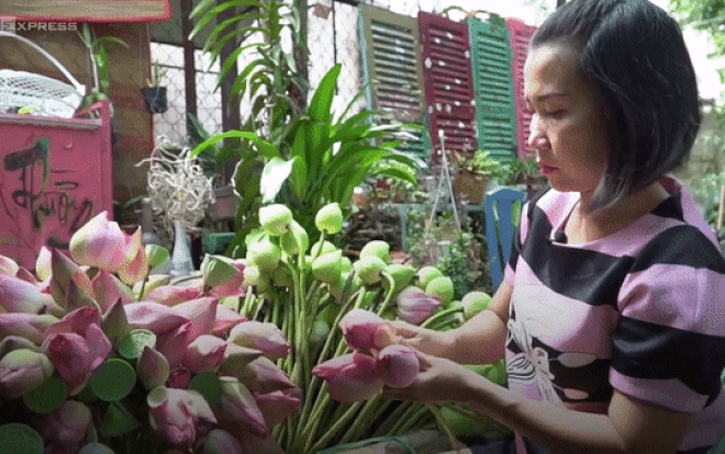 Vợ chồng bỏ việc văn phòng đi bán hoa sen Ảnh 2