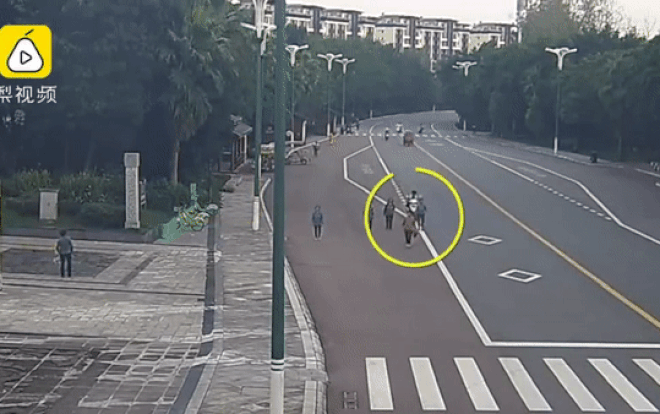 Mải mê nhìn điện thoại, thiếu niên lái xe điện tông chết cụ già Ảnh 2