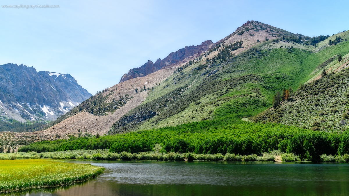 hình nền trên macOS