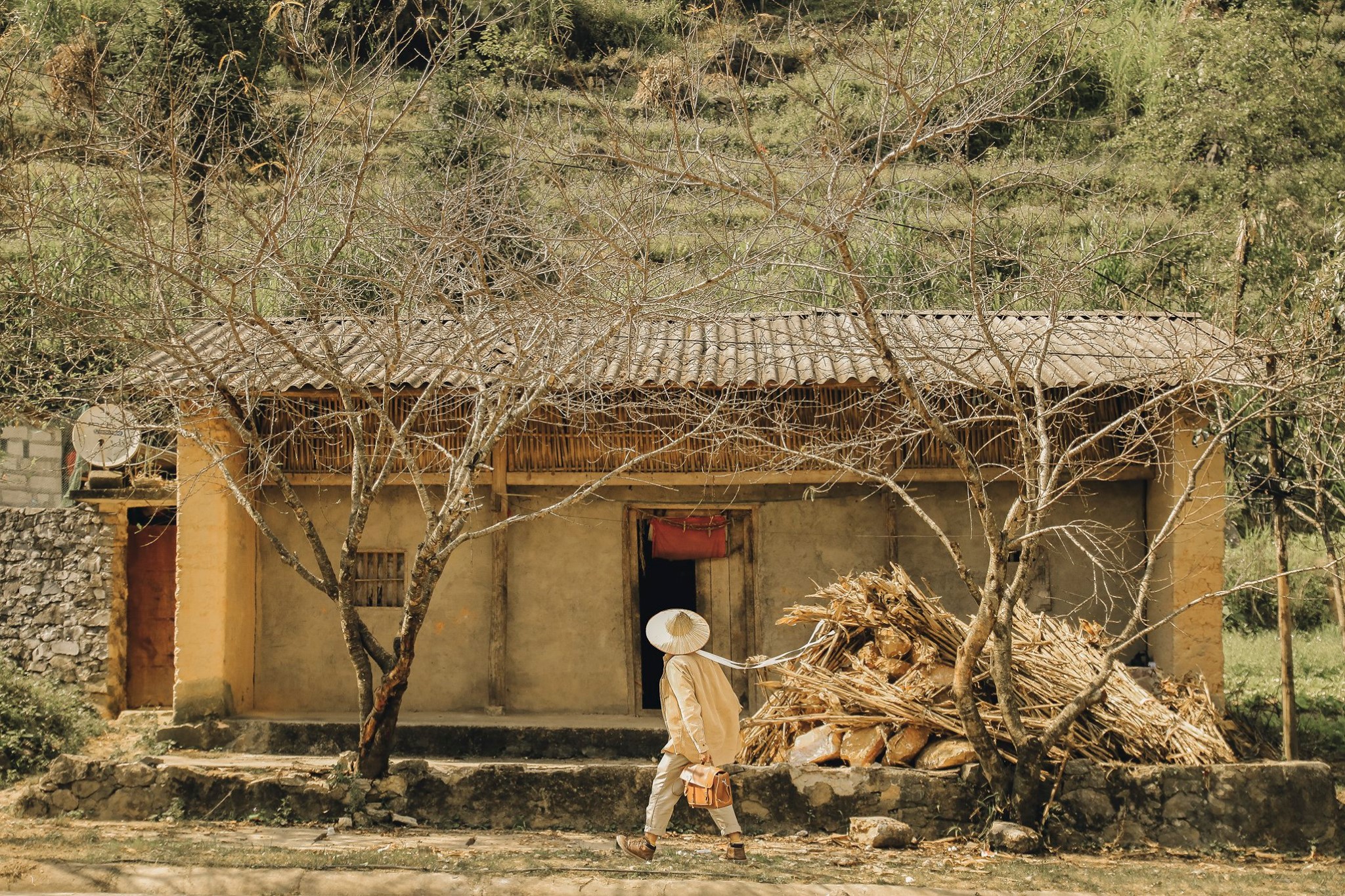 Đến Hà Giang mùa vàng để sống ảo quên lối về giữa những thảm lúa chín rực rỡ Ảnh 10