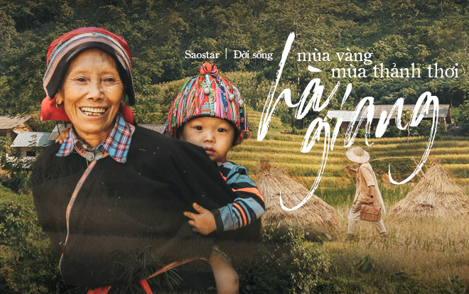 Đến Hà Giang mùa vàng để sống ảo quên lối về giữa những thảm lúa chín rực rỡ Ảnh 2