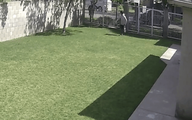 Cảnh sát nổ súng bắn chết thiếu niên tay không tấc sắt, phản ứng của đồng nghiệp gây sốc hơn Ảnh 2