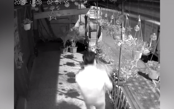 Clip: Người đàn ông lái xe tải trộm chậu hoa trước cửa nhà dân lúc rạng sáng khiến nhiều người ngao ngán Ảnh 2