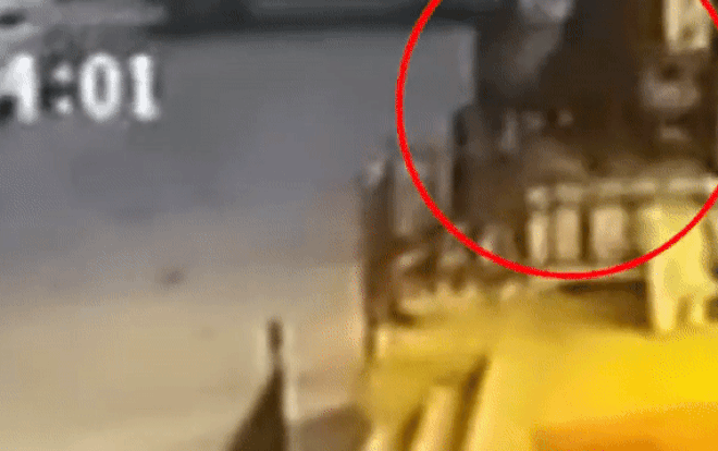 Cha nhét con trai 3 tuổi trong túi vứt bỏ ngoài đường vì 'không nuôi được' Ảnh 2