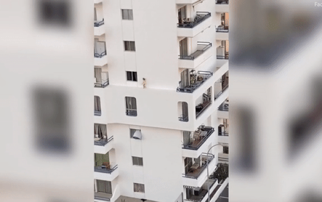 Thót tim cảnh cô bé lao băng băng trên gờ tường chung cư Ảnh 2