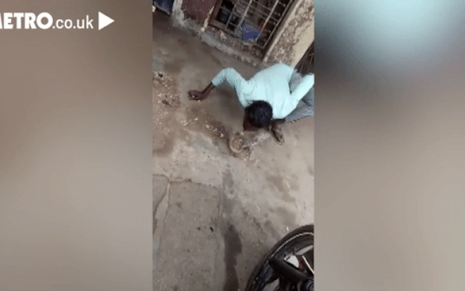 Rắn hổ mang cắn chảy máu mặt người đàn ông đùa giỡn Ảnh 2