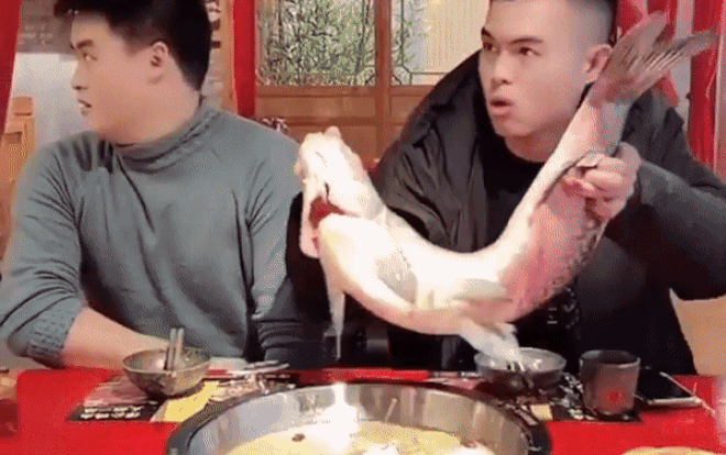 Giới trẻ Trung Quốc lại bày trò đem cả con gà, cá to đùng thả vào nồi lẩu ở nhà hàng Ảnh 2
