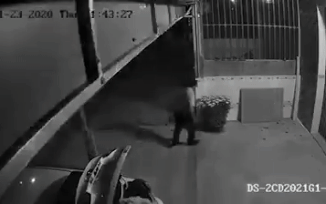 Người đàn ông đi ô tô, ăn mặc lịch sự bê trộm hai chậu hoa kiểng trong đêm Ảnh 2