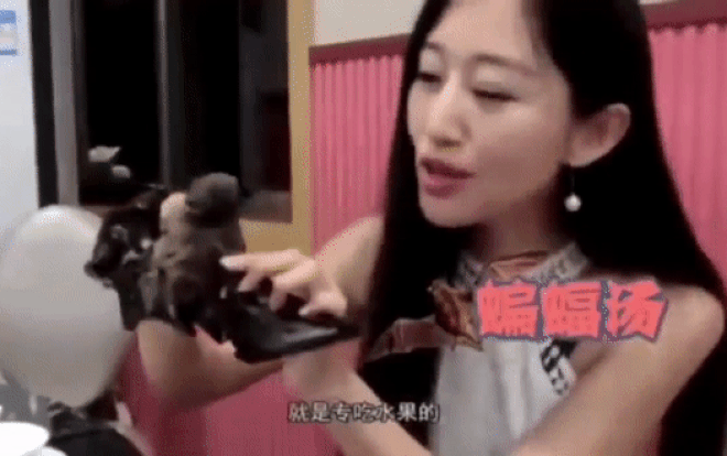 Nữ MC Trung Quốc lên tiếng xin lỗi vì đoạn video ăn súp dơi - nguồn nghi gây dịch viêm phổi lạ Ảnh 2