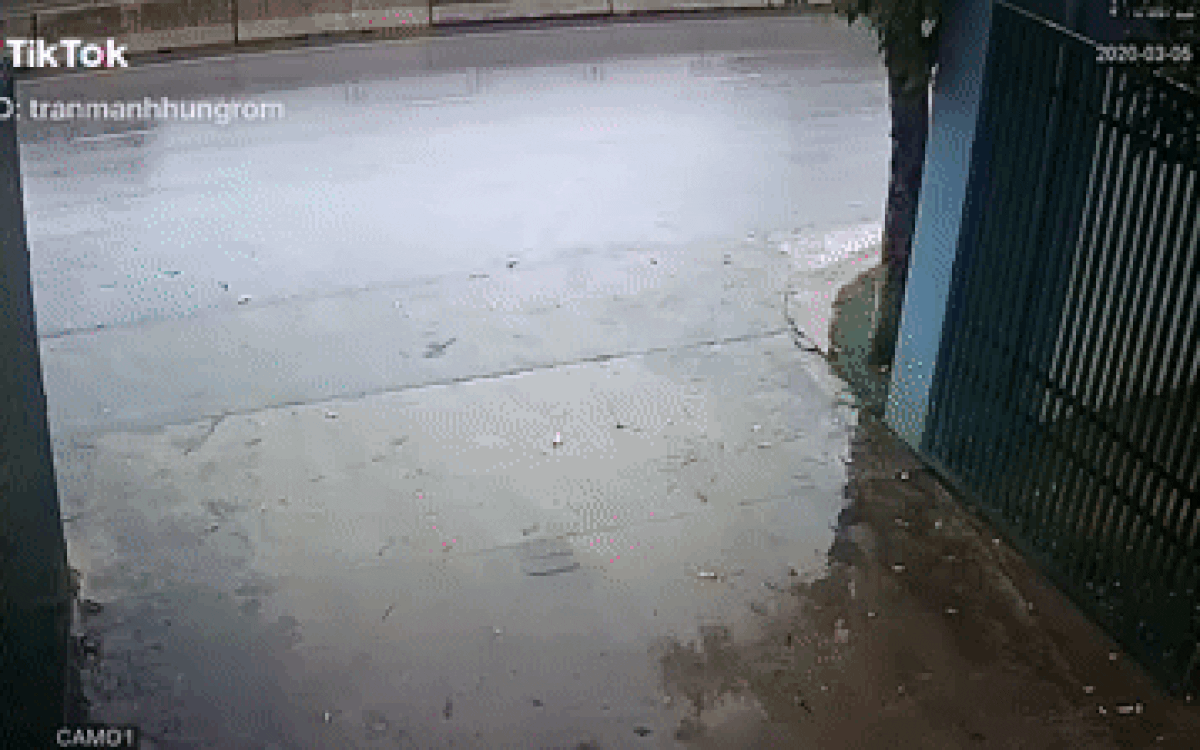 Lộn vài vòng rồi đâm trực diện vào gốc cây, xe ô tô biến dạng hoàn toàn Ảnh 2