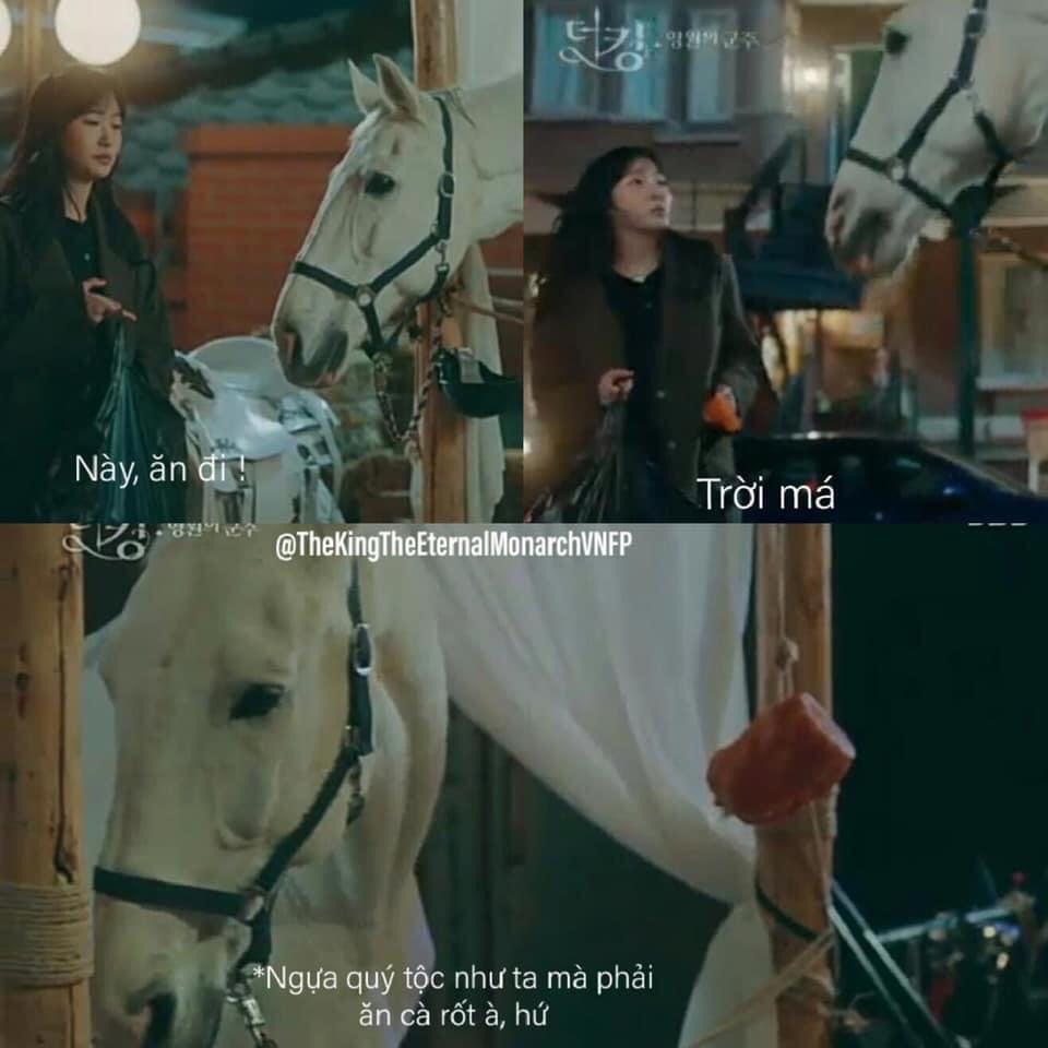 Phải chăm hộ cả ngựa cho người ta lại còn chối