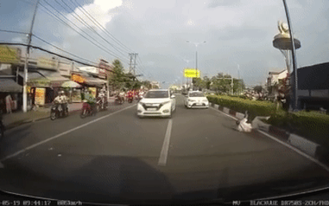 Clip: 2 người đàn ông cầm thanh sắt rượt đuổi nhau giữa đường sau va chạm giao thông Ảnh 2